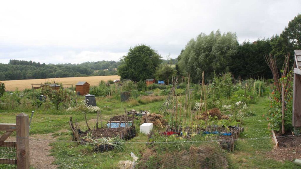 Allotments-at-ardingly