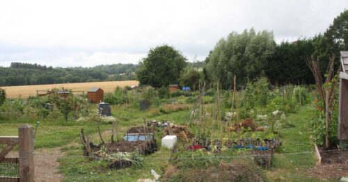 Allotments-at-ardingly